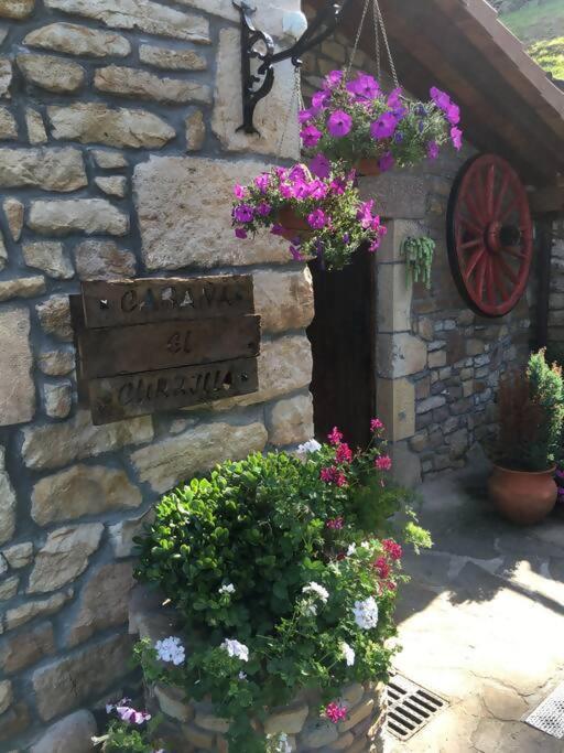 Lodge El Currillo Argomilla